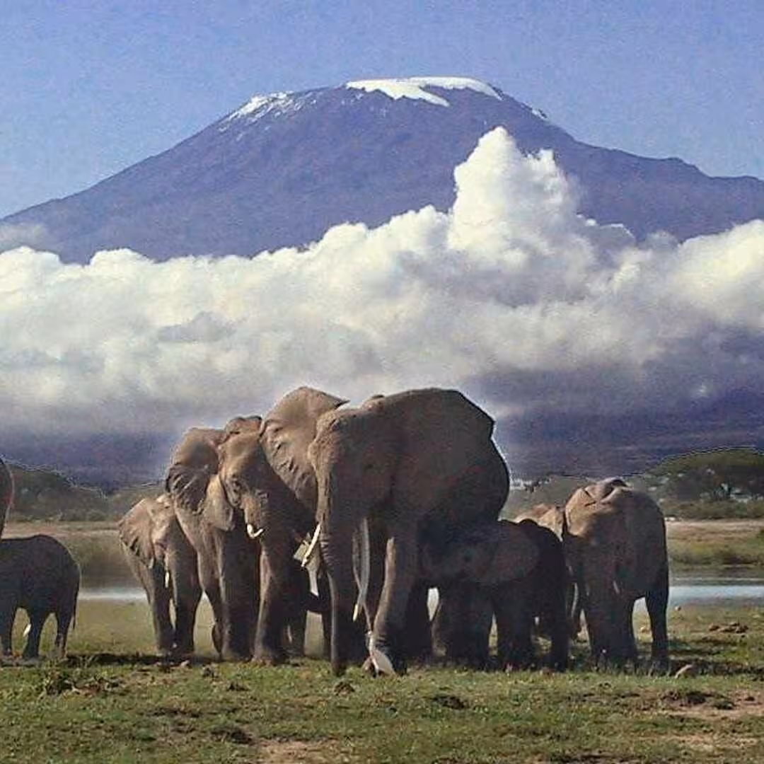 Amboseli
